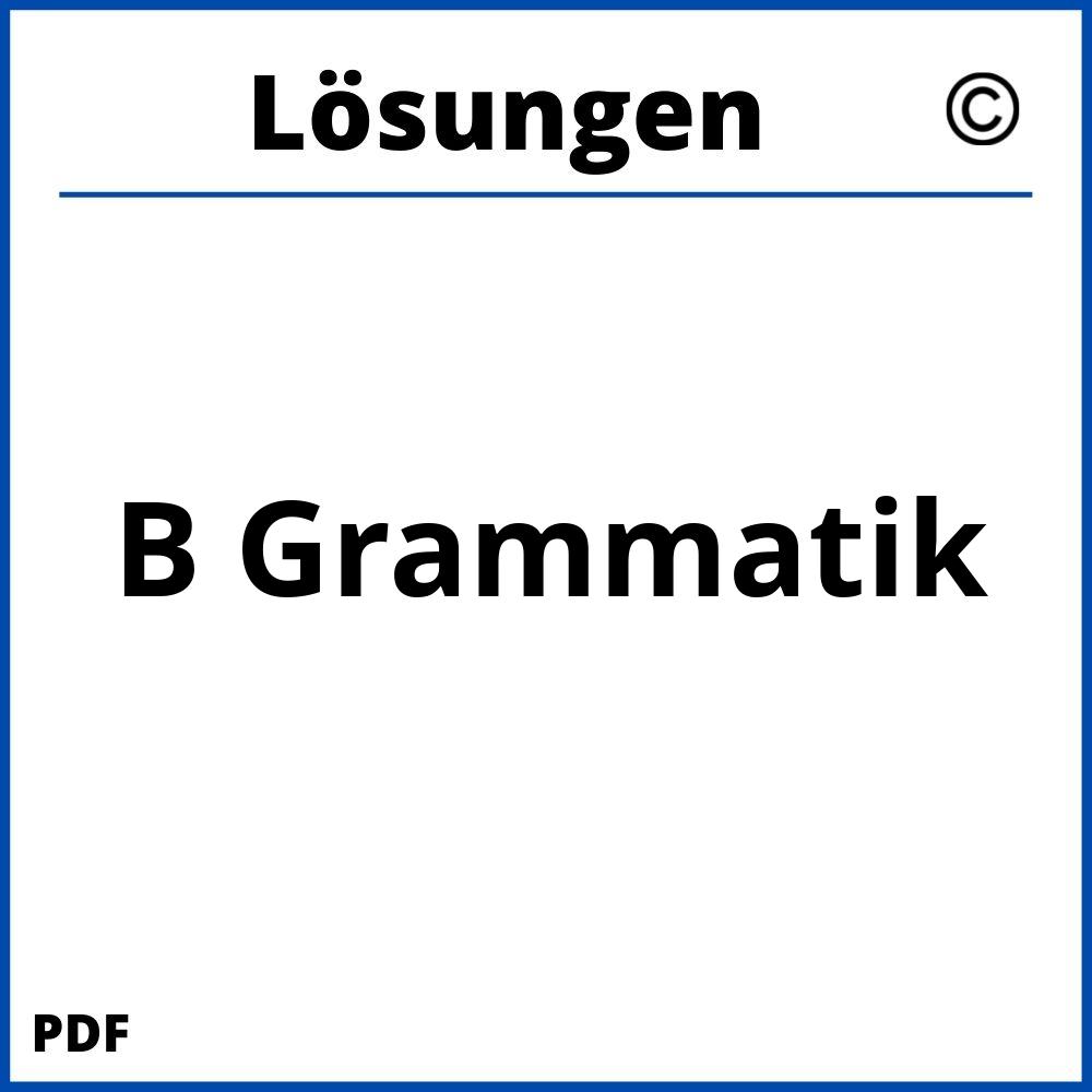 B Grammatik Lösungen Pdf