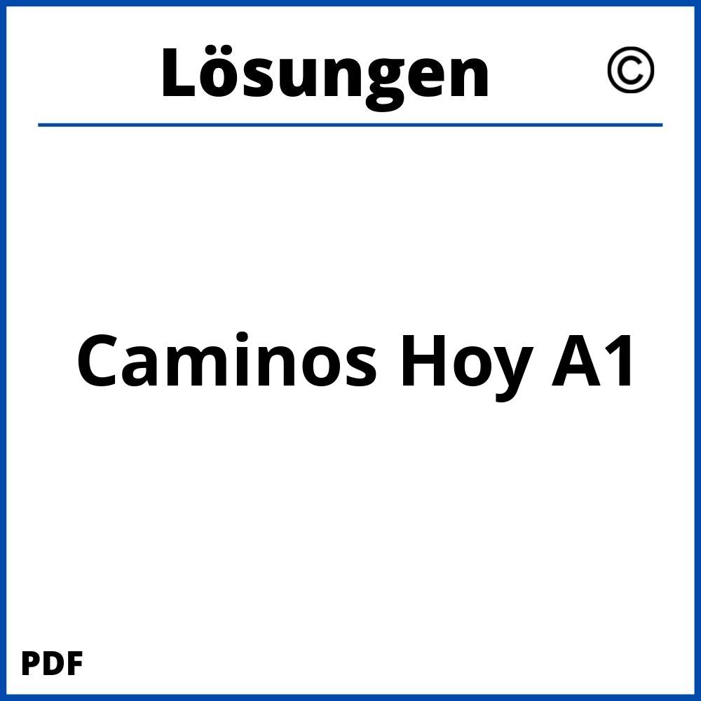 Caminos Hoy A1 Lösungen Pdf